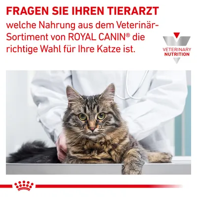 Fragen Sie Ihren Tierarzt, welche Nahrung aus dem Veterinär-Sortiment von Royal Canin die richtige Wahl für Ihre Katze ist. Veterinary Nutrition Logo sichtbar.