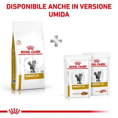 Royal Canin Urinary S/O per gatti, confezione secca e due buste umide. Testo: Disponibile anche in versione umida.