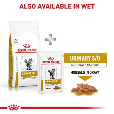 Royal Canin Urinary S/O Moderate Calorie food shown in dry and wet forms, with text highlighting 'Morsels in Gravy' and 'Also available in wet'.