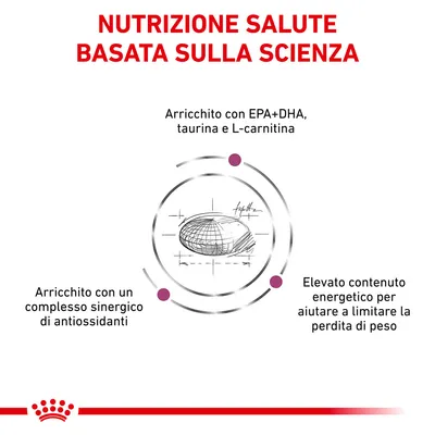 Nutrizione salute basata sulla scienza. Arricchito con EPA+DHA, taurina e L-carnitina. Complesso sinergico di antiossidanti. Elevato contenuto energetico per limitare la perdita di peso.