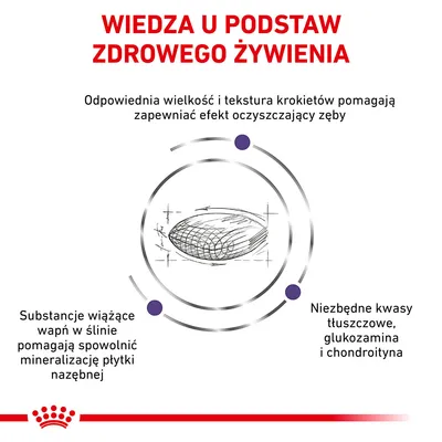 Wiedza u podstaw zdrowego żywienia. Odpowiednia wielkość i tekstura krokietów, substancje wiążące wapń, niezbędne kwasy tłuszczowe, glukozamina i chondroityna.