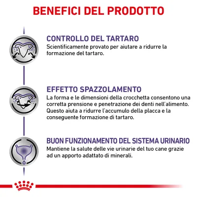 Benefici del prodotto: controllo del tartaro, effetto spazzolamento, buon funzionamento del sistema urinario. Testo esplicativo su ciascun beneficio visibile nell'immagine.