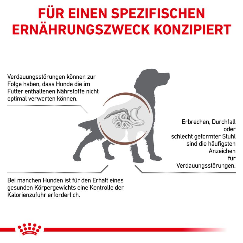 Текст на немецком: FÜR EINEN SPEZIFISCHEN ERNÄHRUNGSZWECK KONZIPIERT. Иллюстрация собаки с выделенной пищеварительной системой и пояснениями о нарушениях пищеварения у собак.