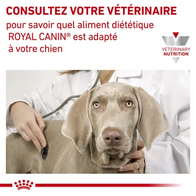 Consultez votre vétérinaire pour savoir quel aliment diététique ROYAL CANIN est adapté à votre chien. VETERINARY NUTRITION.