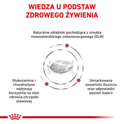 Wiedza u podstaw zdrowego żywienia. Naturalne składniki z omułka nowozelandzkiego, glukozamina i chondroityna wspierają chrząstki, umiarkowana zawartość tłuszczu i kalorii.