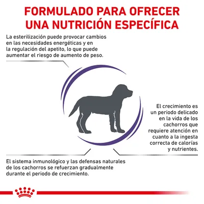 Formulado para ofrecer una nutrición específica. Información sobre esterilización, crecimiento y sistema inmunológico en cachorros, con silueta de perro y gráficos decorativos.