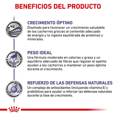 Beneficios del producto: crecimiento óptimo, peso ideal y refuerzo de las defensas naturales. Incluye descripciones sobre energía, proteínas, minerales, antioxidantes y prebióticos.