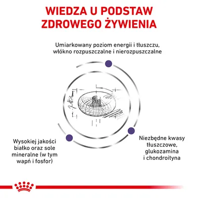 Wiedza u podstaw zdrowego żywienia. Umiarkowany poziom energii i tłuszczu, włókno rozpuszczalne i nierozpuszczalne, wysokiej jakości białko, wapń, fosfor, niezbędne kwasy tłuszczowe, glukozamina, chondroityna.