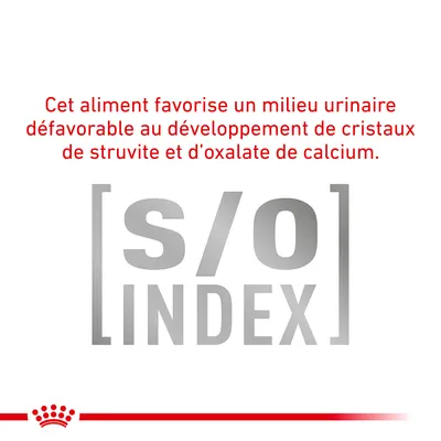 Cet aliment favorise un milieu urinaire défavorable au développement de cristaux de struvite et d’oxalate de calcium. [s/o] INDEX