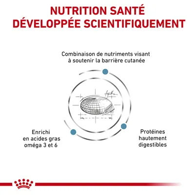 NUTRITION SANTÉ DÉVELOPPÉE SCIENTIFIQUEMENT. Combinaison de nutriments visant à soutenir la barrière cutanée. Enrichi en acides gras oméga 3 et 6. Protéines hautement digestibles.
