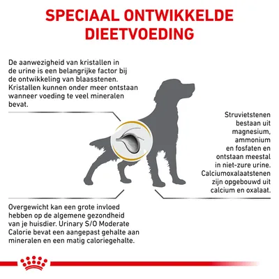 Speciaal ontwikkelde dieetvoeding: uitleg over kristallen in urine, struviet- en calciumoxalaatstenen, invloed van mineralen en calorieën op gezondheid huisdier. Royal Canin merk zichtbaar.