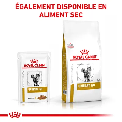 ROYAL CANIN URINARY S/O pour chat, sachet et sac visibles. Texte : ÉGALEMENT DISPONIBLE EN ALIMENT SEC.