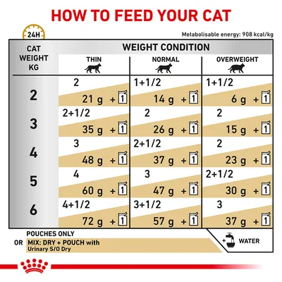 Feeding guide chart showing daily dry food and pouch amounts for cats by weight and condition: thin, normal, overweight. Includes mixing instructions and reminder to add water.