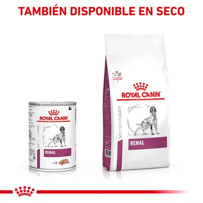 ROYAL CANIN RENAL para perros, lata y saco de pienso. Texto visible: 'TAMBIÉN DISPONIBLE EN SECO'. Imagen de perro en ambos envases.