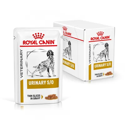Veterinary food pouch and box labelled Urinary S/O, thin slices in gravy. Product shows a black and white dog illustration on both the pouch and packaging.