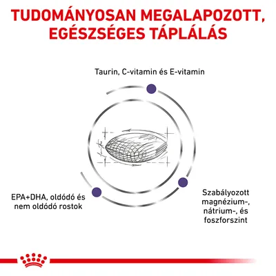 Tudományosan megalapozott, egészséges táplálás. Taurin, C-vitamin és E-vitamin. EPA+DHA, oldódó és nem oldódó rostok. Szabályozott magnézium-, nátrium-, és foszforszint.