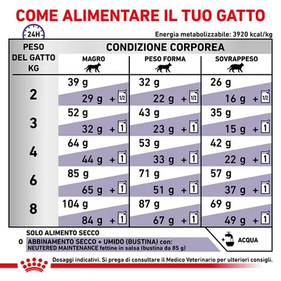 Tabella consigli alimentari per gatto: dosi giornaliere in grammi per peso (2–8 kg) e condizione corporea (magro, peso forma, sovrappeso), opzioni solo secco o secco+umido.