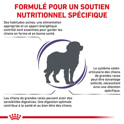 Formulé pour un soutien nutritionnel spécifique. Conseils : alimentation appropriée, énergie contrôlée, attention au système ostéo-articulaire et à la digestion des chiens de grandes races.
