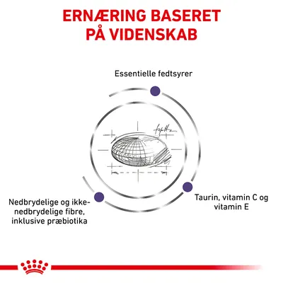 ERNÆRING BASERET PÅ VIDENSKAB. Essentielle fedtsyrer. Nedbrydelige og ikke-nedbrydelige fibre, inklusive præbiotika. Taurin, vitamin C og vitamin E.