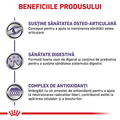 Beneficiile produsului: susține sănătatea osteo-articulară, sănătate digestivă, complex de antioxidanți. Text explicativ pentru fiecare beneficiu este inclus în imagine.