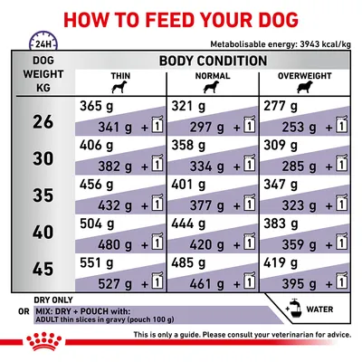 Feeding guide for dogs by weight (26–45 kg) and body condition: thin, normal, overweight. Shows daily grams of dry food or mix with 1 pouch. Includes note to add water. Energy: 3943 kcal/kg.