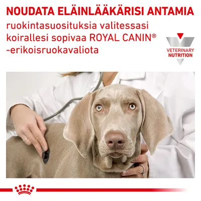 Noudata eläinlääkärisi antamia ruokintasuosituksia valitessasi koirallesi sopivaa ROYAL CANIN -erikoisruokavaliota. VETERINARY NUTRITION.