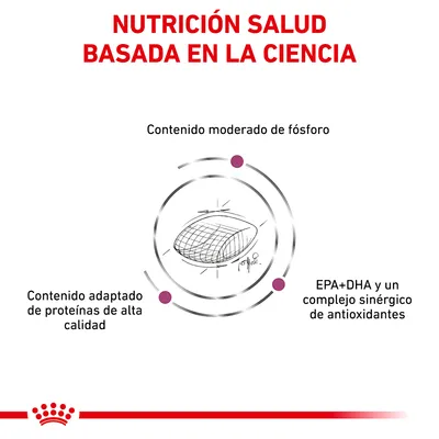 Nutrición salud basada en la ciencia. Contenido moderado de fósforo, contenido adaptado de proteínas de alta calidad, EPA+DHA y complejo sinérgico de antioxidantes.