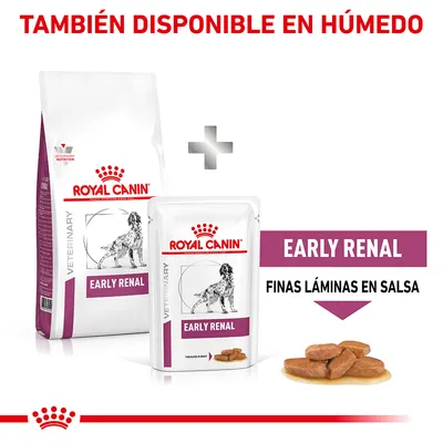 Royal Canin Early Renal seco y húmedo para perros. Texto visible: 'TAMBIÉN DISPONIBLE EN HÚMEDO', 'EARLY RENAL', 'FINAS LÁMINAS EN SALSA'. Imagen de croquetas en salsa.