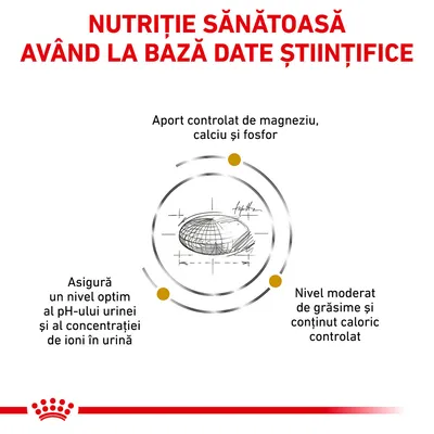 Nutriție sănătoasă având la bază date științifice. Aport controlat de magneziu, calciu și fosfor. Nivel moderat de grăsime și conținut caloric controlat. Asigură un nivel optim al pH-ului urinei.