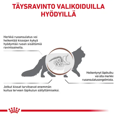 Täysravinto valikoiduilla hyödyillä. Herkkä ruoansulatus voi heikentää kissojen kykyä hyödyntää ravintoaineita. Jotkut kissat tarvitsevat enemmän kuitua. Heikentynyt läpikulku voi olla merkki ruoansulatusongelmista.