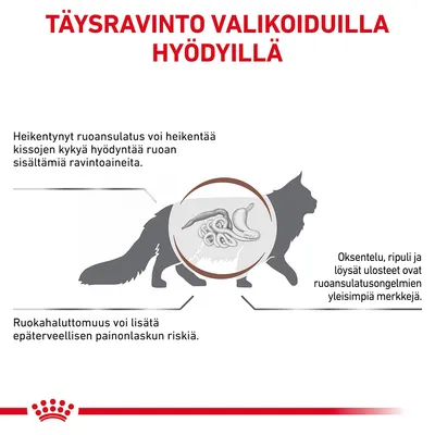 Täysravinto valikoiduilla hyödyillä. Heikentynyt ruoansulatus voi heikentää kissojen kykyä hyödyntää ravintoaineita. Oksentelu, ripuli ja löysät ulosteet ovat yleisiä merkkejä.