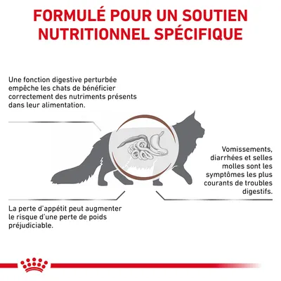 Formulé pour un soutien nutritionnel spécifique. Fonction digestive perturbée, vomissements, diarrhées, selles molles, perte d’appétit et risque de perte de poids chez le chat.