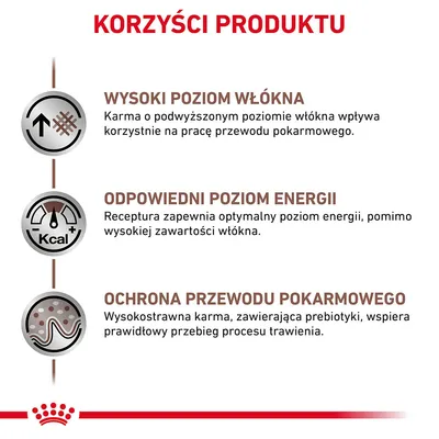 Korzyści produktu: wysoki poziom włókna, odpowiedni poziom energii, ochrona przewodu pokarmowego. Opisy wpływu na trawienie i energię widoczne na grafice.