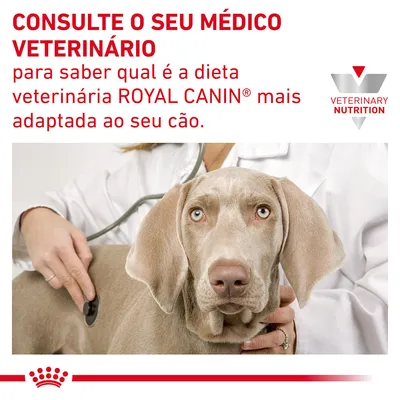 Consulte o seu médico veterinário para saber qual é a dieta veterinária ROYAL CANIN mais adaptada ao seu cão. VETERINARY NUTRITION. Consulte o seu médico veterinário para saber qual é a dieta veterinária ROYAL CANIN mais adaptada ao seu cão. VETERINARY NUTRITION.