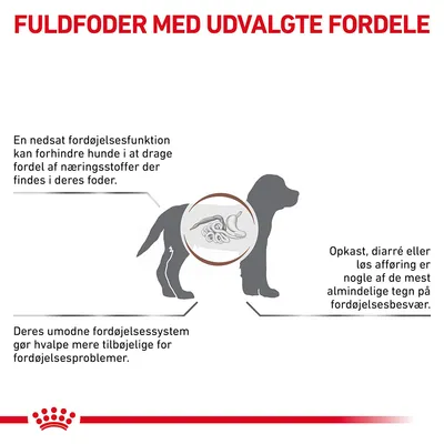 FULDFODER MED UDVALGTE FORDELE. En nedsat fordøjelsesfunktion kan forhindre hunde i at drage fordel af næringsstoffer. Opkast, diarré eller løs afføring er tegn på fordøjelsesbesvær. Umodent fordøjelsessystem hos hvalpe.