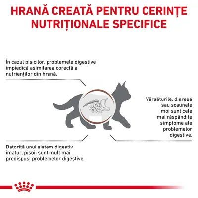 Hrană creată pentru cerințe nutriționale specifice. Probleme digestive la pisici: dificultăți de asimilare, vărsături, diaree, scaune moi; pisoilor le lipsește un sistem digestiv matur.