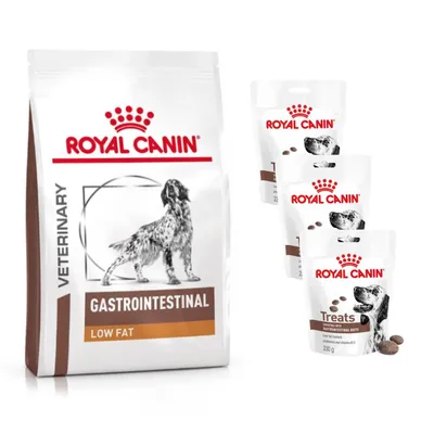 Royal Canin Vet Canine Gastrointestinal + 3 x 230 g Gastrointestinal Snacks ¡gratis!