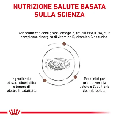 Nutrizione salute basata sulla scienza. Arricchito con acidi grassi omega-3, EPA+DHA, vitamina E, C, taurina. Ingredienti ad alta digeribilità, elettroliti adattati, prebiotici per il microbiota.