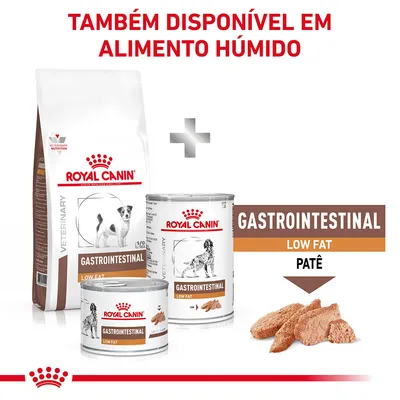 Royal Canin Gastrointestinal Low Fat para cães, disponível em seco e húmido. Texto visível: 'TAMBÉM DISPONÍVEL EM ALIMENTO HÚMIDO', 'GASTROINTESTINAL LOW FAT PATÊ'.