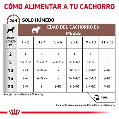 Tabla de alimentación para cachorros solo húmedo según peso adulto (2–20 kg) y edad en meses (1–12). Incluye cantidades diarias y nota sobre agua. Energía metabolizable: 972 kcal/kg.