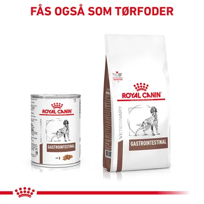 ROYAL CANIN GASTROINTESTINAL vådfoder og tørfoder til hund, tekst øverst: Fås også som tørfoder. Begge emballager viser en hundetegning og mærket VETERINARY.