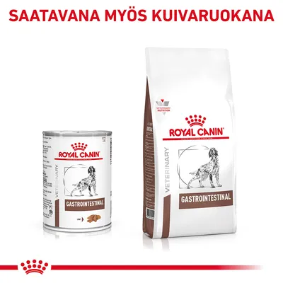 Royal Canin Gastrointestinal -koiranruokaa, märkä- ja kuivaruoka. Teksti: Saatavana myös kuivaruoakana.