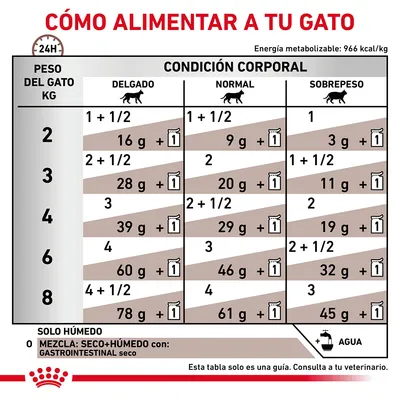 Tabla de alimentación para gatos según peso y condición corporal: delgado, normal o sobrepeso. Incluye cantidades en gramos y sobres húmedos. Recomendación de agua y consulta veterinaria.