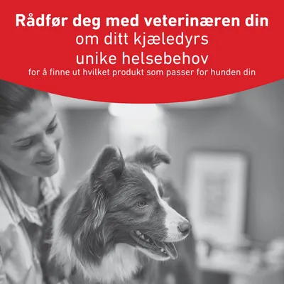 Royal Canin Veterinary Canine Glycobalance Small Dog Royal Canin Veterinary Canine Glycobalance Small Dog