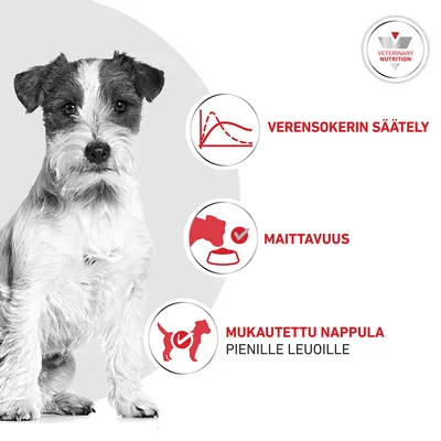 Grafiikka, jossa on koira ja kolme tekstiä: VERENSOKERIN SÄÄTELY, MAITTAVUUS, MUKAUTETTU NAPPULA PIENILLE LEUOILLE. Ylhäällä oikealla logo, jossa lukee VETERINARY NUTRITION. Grafiikka, jossa on koira ja kolme tekstiä: VERENSOKERIN SÄÄTELY, MAITTAVUUS, MUKAUTETTU NAPPULA PIENILLE LEUOILLE. Ylhäällä oikealla logo, jossa lukee VETERINARY NUTRITION.
