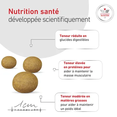 Royal Canin Veterinary Canine Glycobalance Small Dog