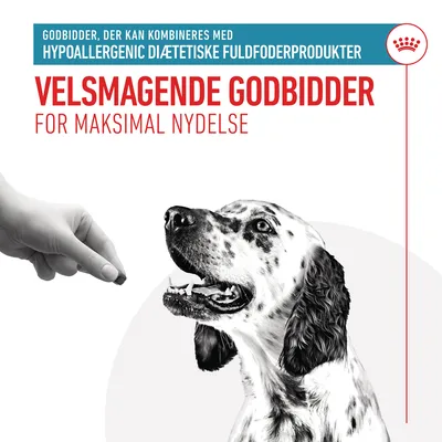 VELSMAGENDE GODBIDDER FOR MAKSIMAL NYDELSE. Godbidder, der kan kombineres med hypoallergenic diætetiske fuldfoderprodukter. Hånd giver godbid til dalmatinerhund.