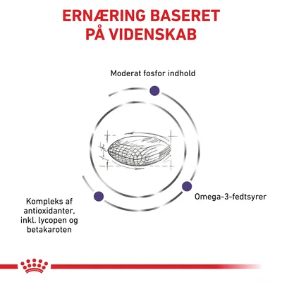 Ernæring baseret på videnskab. Moderat fosfor indhold. Kompleks af antioxidanter, inkl. lycopen og betakaroten. Omega-3-fedtsyrer.