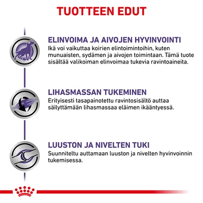 TUOTTEEN EDUT: Elinvoima ja aivojen hyvinvointi, Lihasmassan tukeminen, Luuston ja nivelten tuki. Tarkemmat kuvaukset jokaisesta edusta näkyvät kuvassa.