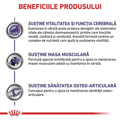 Beneficiile produsului: susține vitalitatea și funcția cerebrală, masa musculară și sănătatea osteo-articulară. Text explicativ pentru fiecare beneficiu vizibil în imagine.